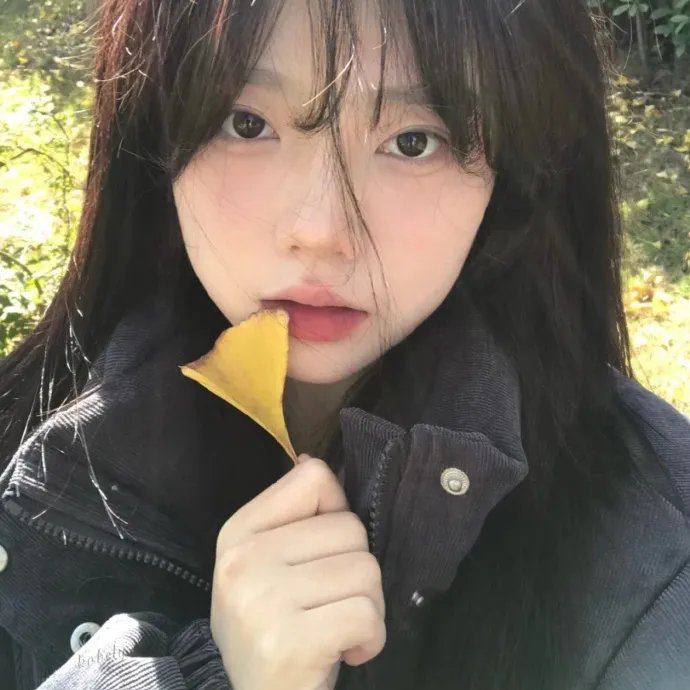 北岸疑云
